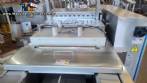 Termoformadora marca ULMA modelo TFS 200.