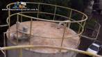 Tanque silo encamisado para armazenamento de glucose 20.000 litros