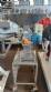 Processador triturador em inox AGMAC 100 kg / h