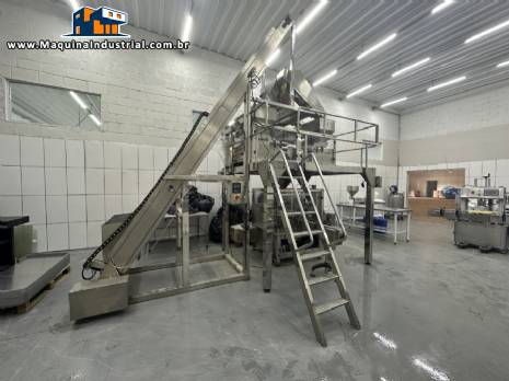 Embaladora envasadora multi cabeça multicabeçote corrugada para produtos sólidos congelados em potes Embaladora envasadora multi cabeça multicabeçote corrugada para produtos sólidos congelados em potes